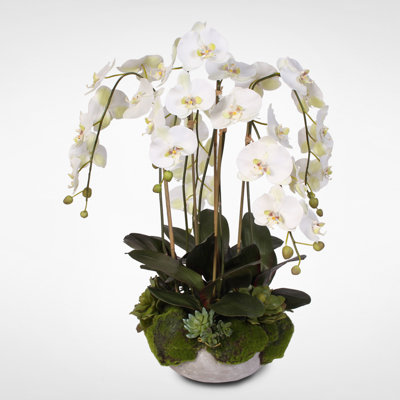 orchid arrangement